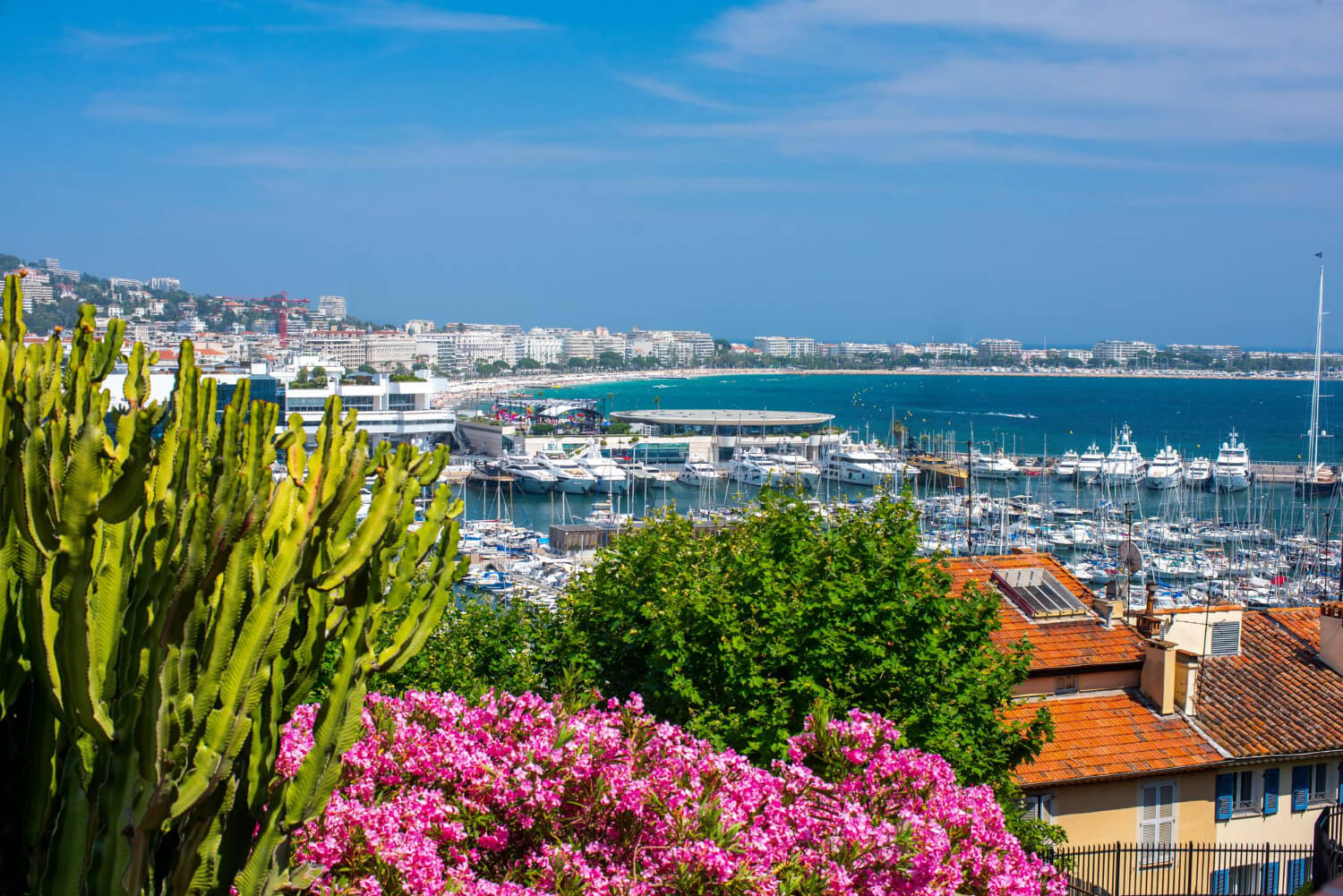 Cannes Mediavalle Viaggi