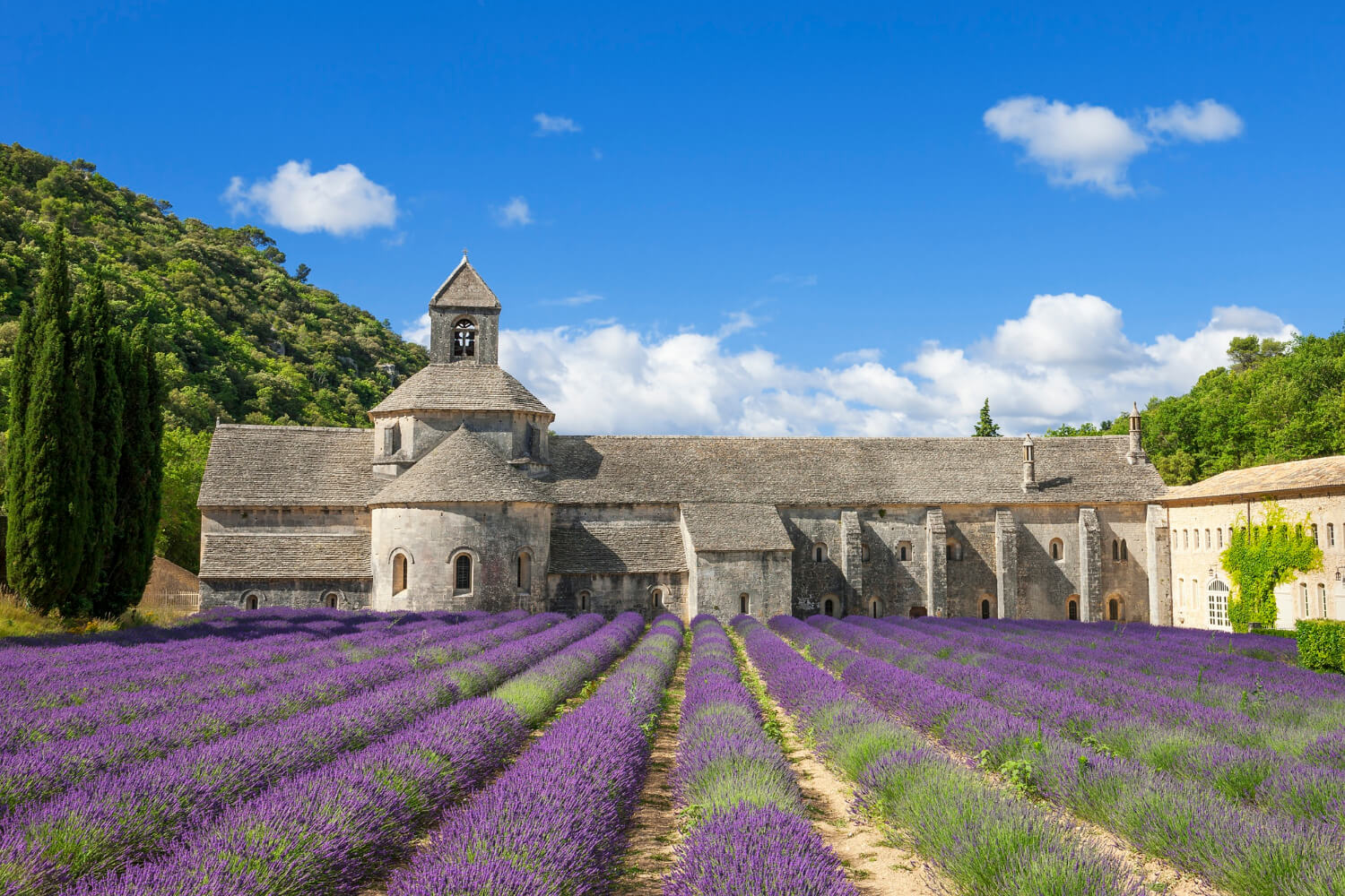 Provenza Mediavalle Viaggi