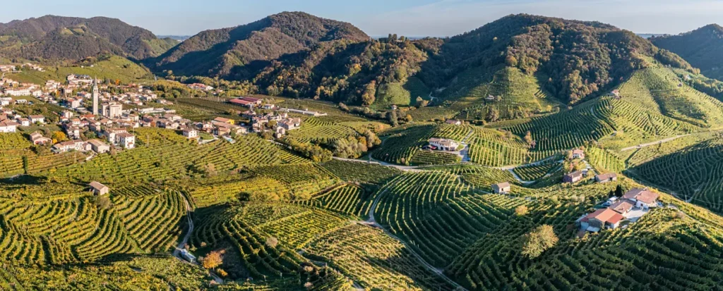 Veneto, la strada del vino