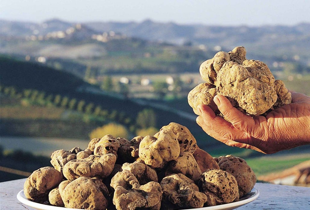 Tartufo Bianco Alba Mediavalle Viaggi