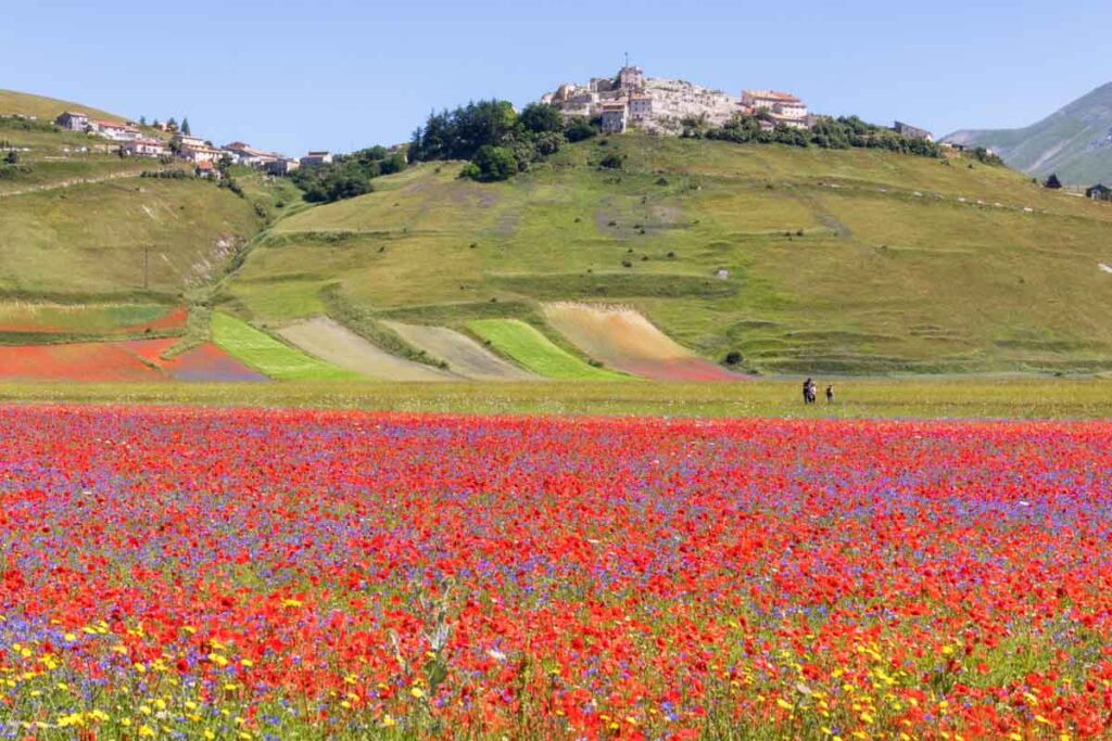 Santa Rita da Cascia & Norcia