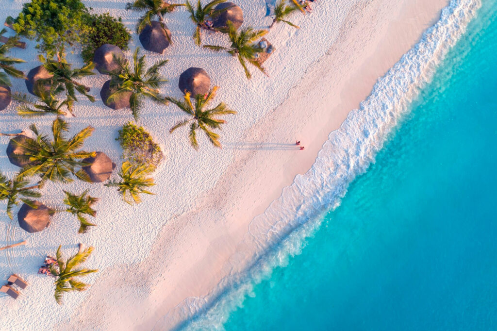 Zanzibar, l'isola delle spezie