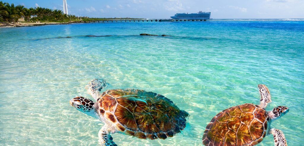 Crociera ai Caraibi