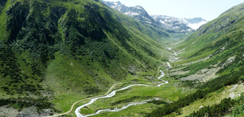 SETTIMANA VERDE | Val Pusteria - Luglio 2025