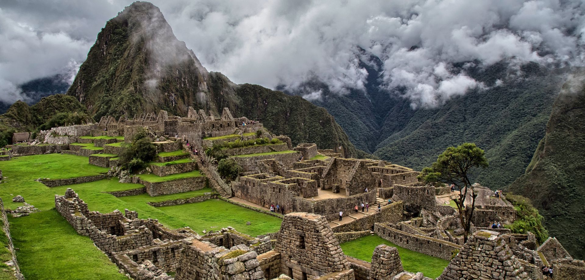 PERU imm