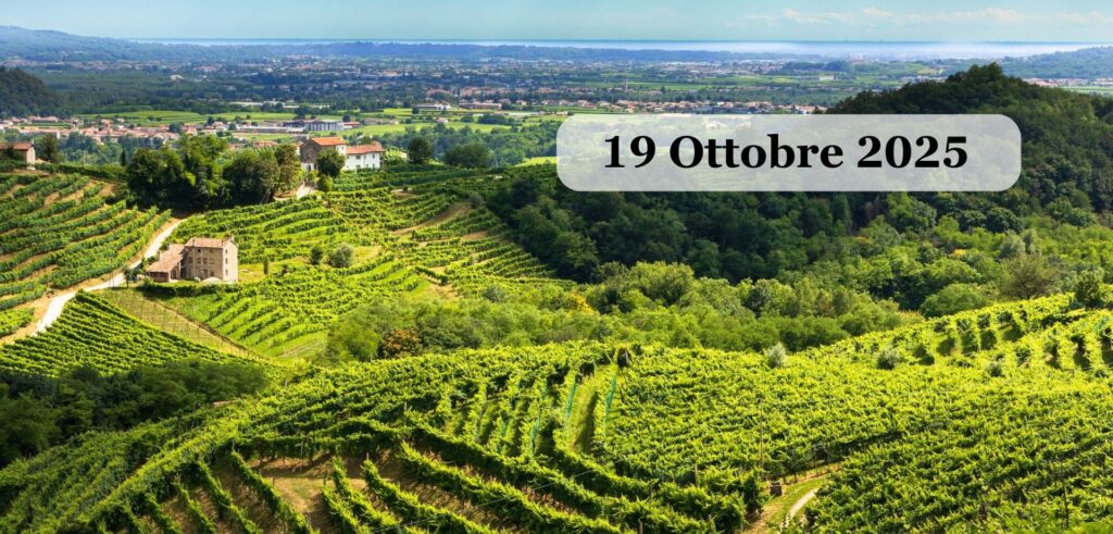 Il “Prosecco” della Cantina Facchin