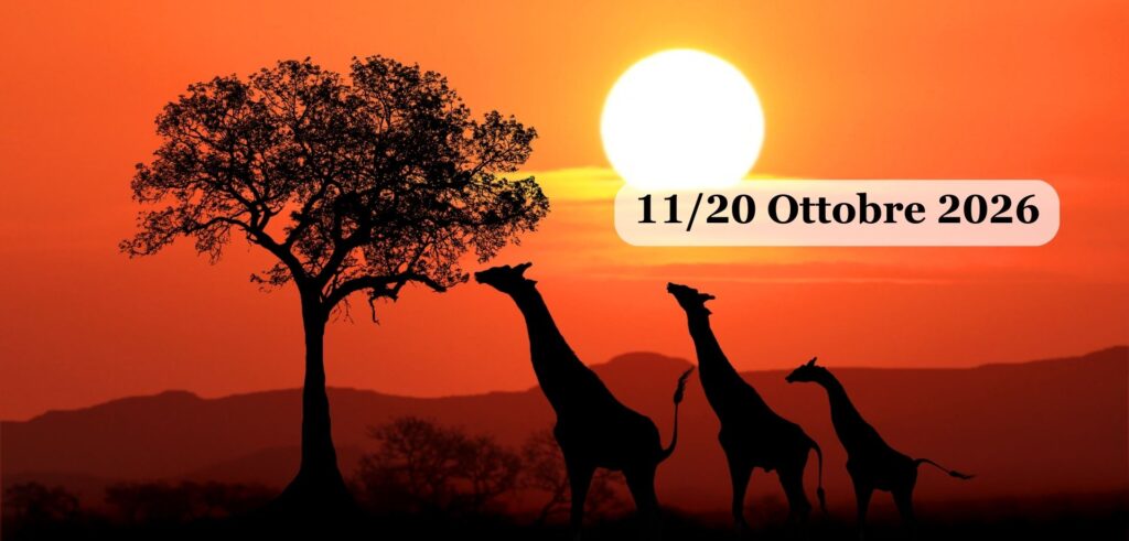 SUDAFRICA - da Cape Town al Kruger in Glamping | ottobre 2026