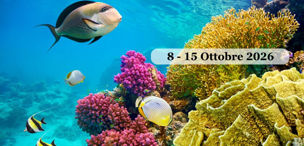 MAR ROSSO Sharm el Sheikh | 8-15 Ottobre 2026