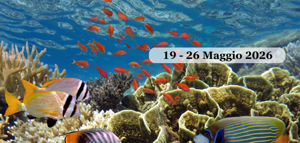 MAR ROSSO – MARSA ALAM | 19-26 Maggio 2026