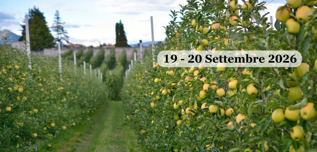 Raccolta delle Mele | Settembre 2026