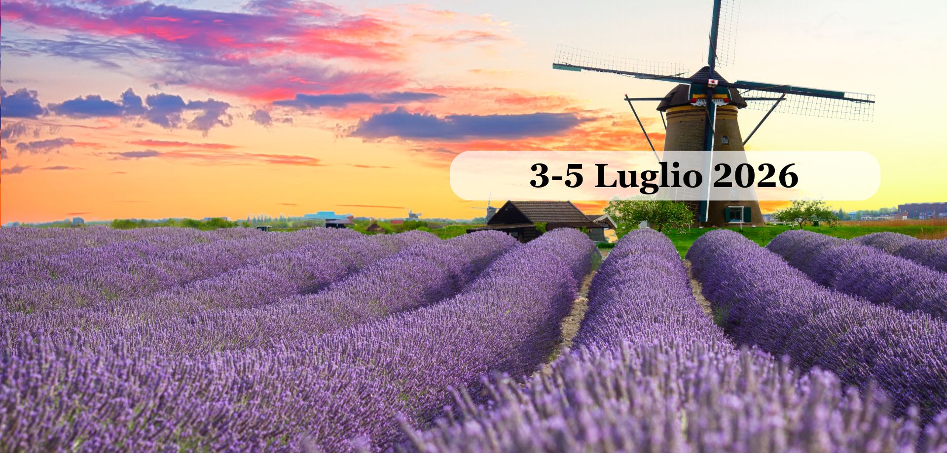 PROVENZA e i CAMPI di LAVANZA