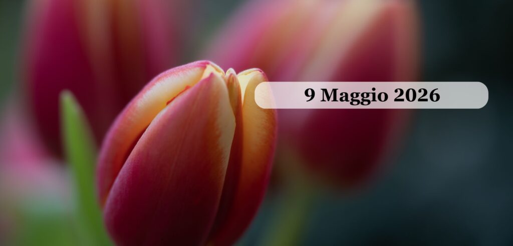 Tulipanomania al Parco Sigurtà  e Borghetto sul Mincio | maggio 2026