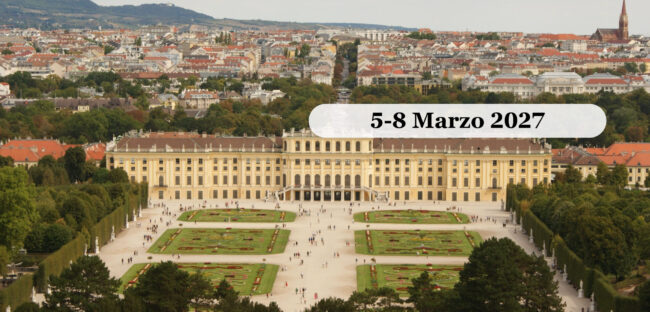 Il Castello di Schönbrunn a Vienna visto dall'alto, coi giardini geometrici e la città sullo sfondo