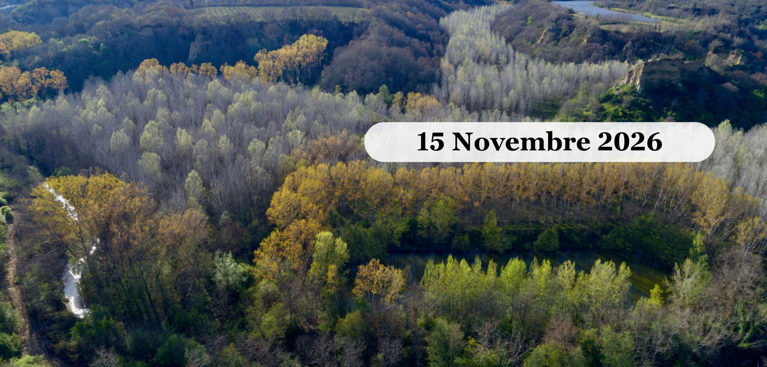 Foliage nel Casentino: Camaldoli e il Lanificio di Stia Novembre 2026 Bosco toscano con i colori dell autunno