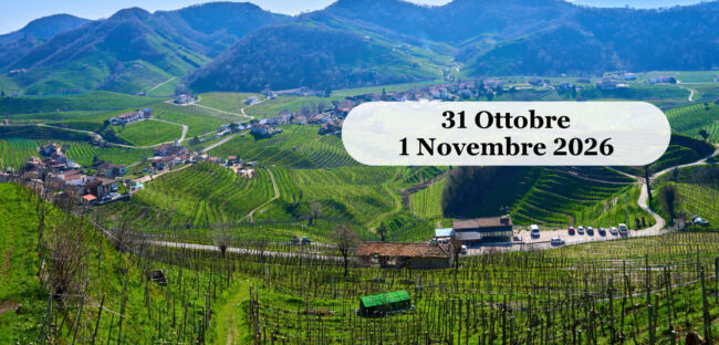 I vigneti del Prosecco sulle colline venete