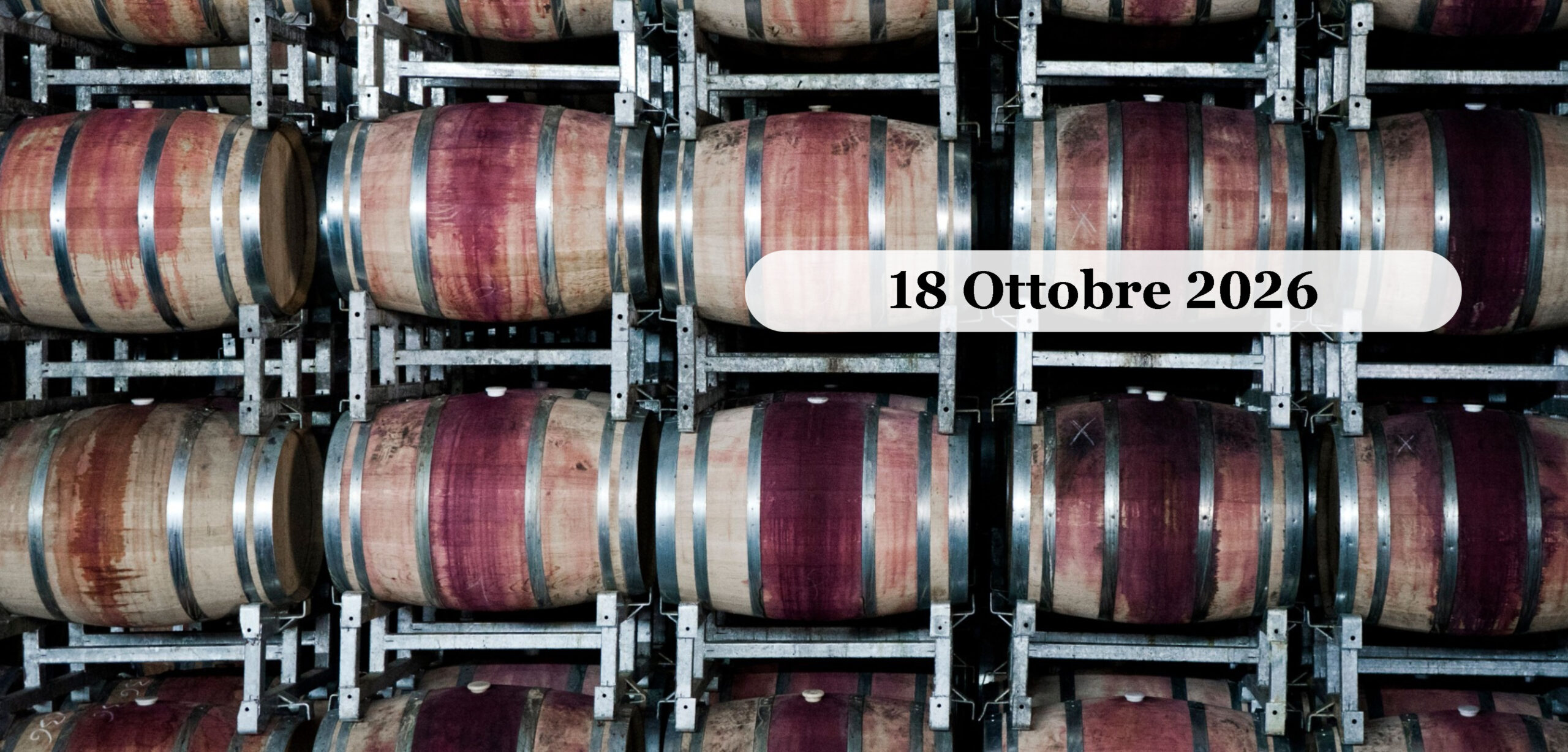 La classica Gita del Vino sui Colli Euganei Ottobre 2026 Botti di legno in una cantina