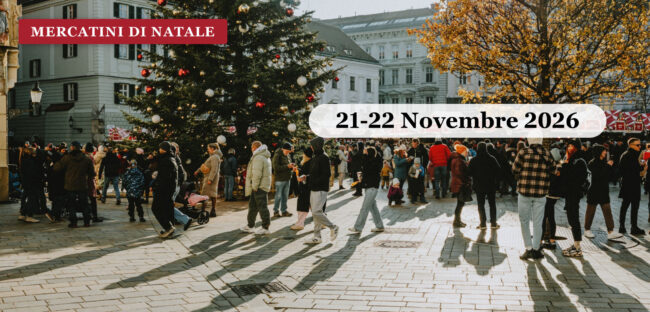 Mercatino di Natale in piazza con albero addobbato e casette di legno