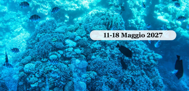 Barriera corallina e pesci nel Mar Rosso a Sharm El Sheikh