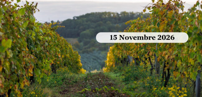 Vigneti in autunno sulla Strada del Vino del Chianti